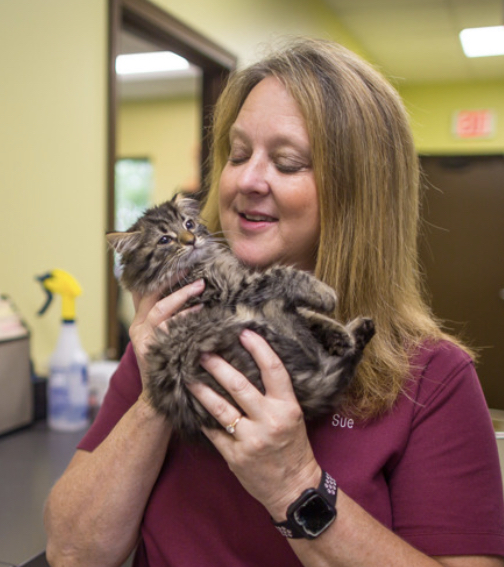 Sue Ford - Office Manager