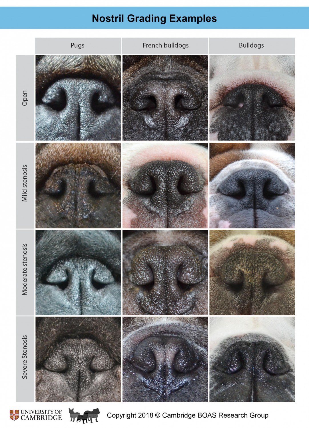 Nostril Grading Examples 