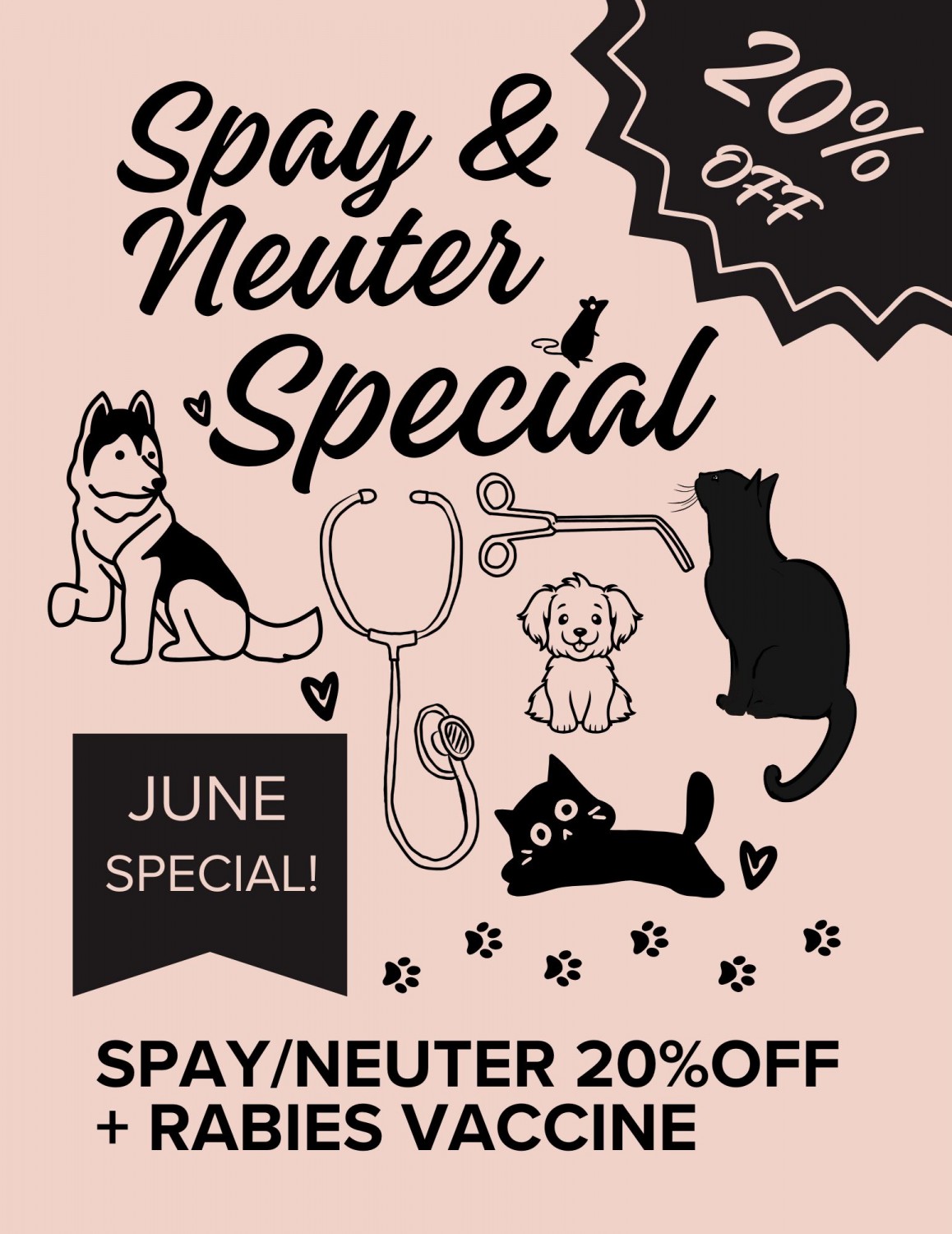 Spay and Neuter Special